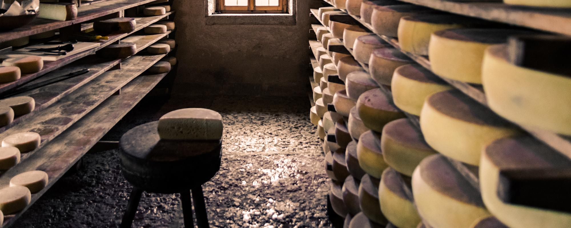 Header cheese and dairy